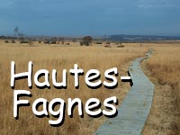 Hautes-Fagnes